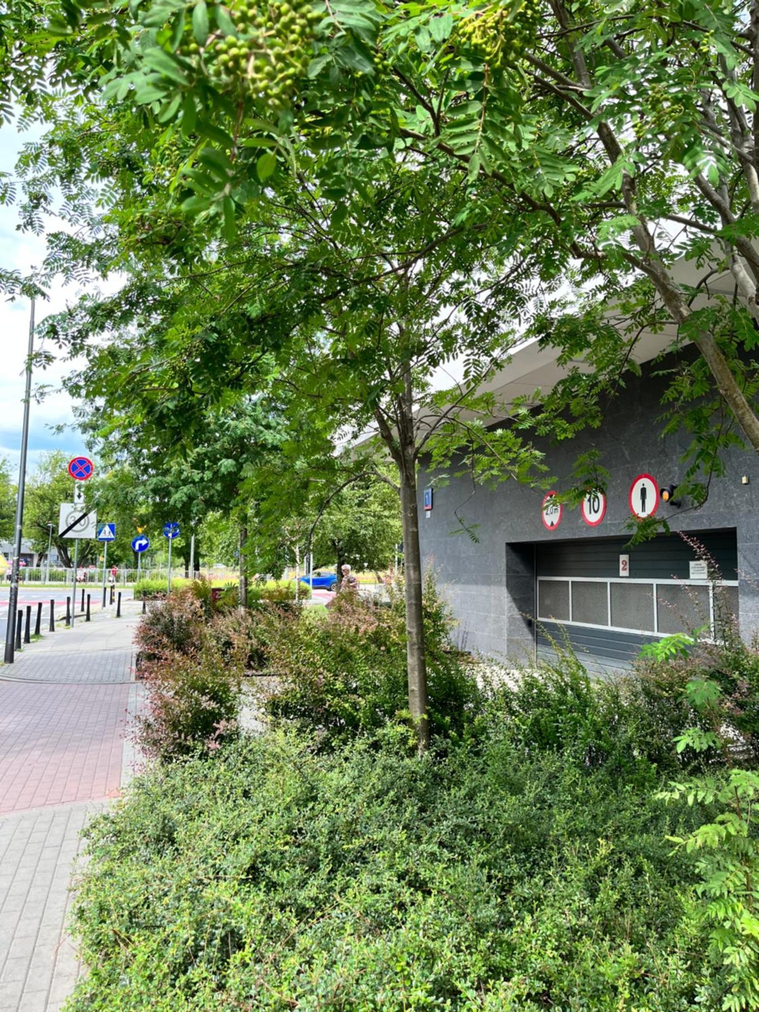 Apartment Metro Slodowiec Free Parking Warszawa Eksteriør bilde
